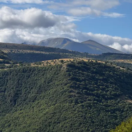Azienda Asis Monterubbiano