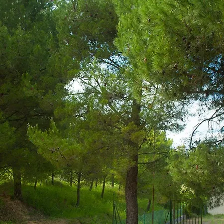 A Rubbianello * Monterubbiano